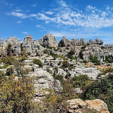 Cactus Hill - Safari Tents - Caminito Del Rey Эль-Чорро Экстерьер фото
