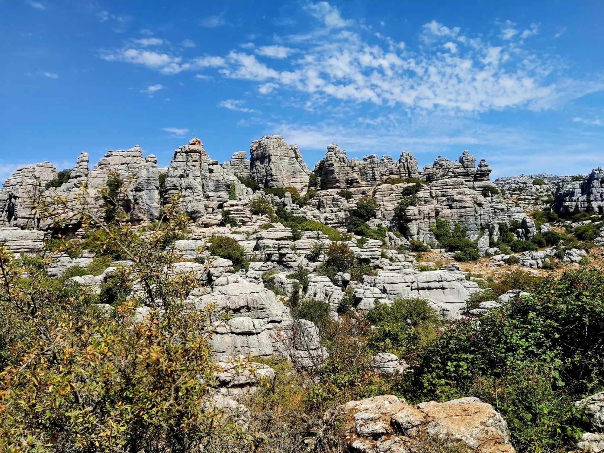 Cactus Hill - Safari Tents - Caminito Del Rey Эль-Чорро Экстерьер фото